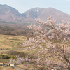 浅間山と桜 （2016年4月9日）