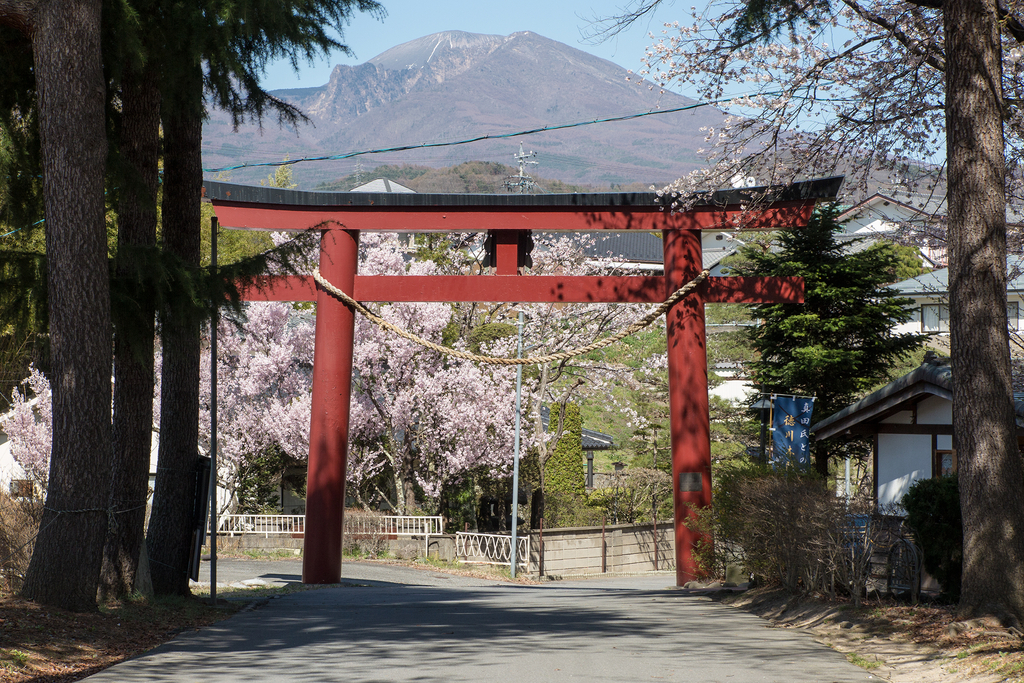 鹿嶋神社と浅間山（2016年4月11日）