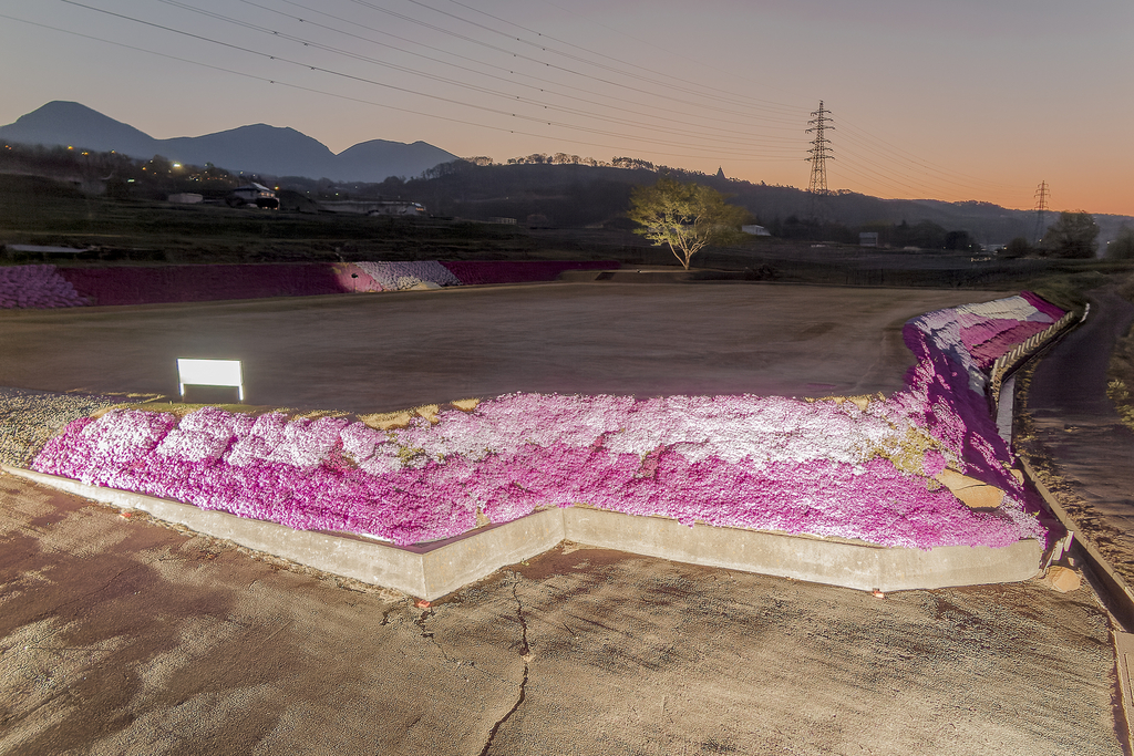 芝桜と浅間連山(2025年4月30日 4:33)