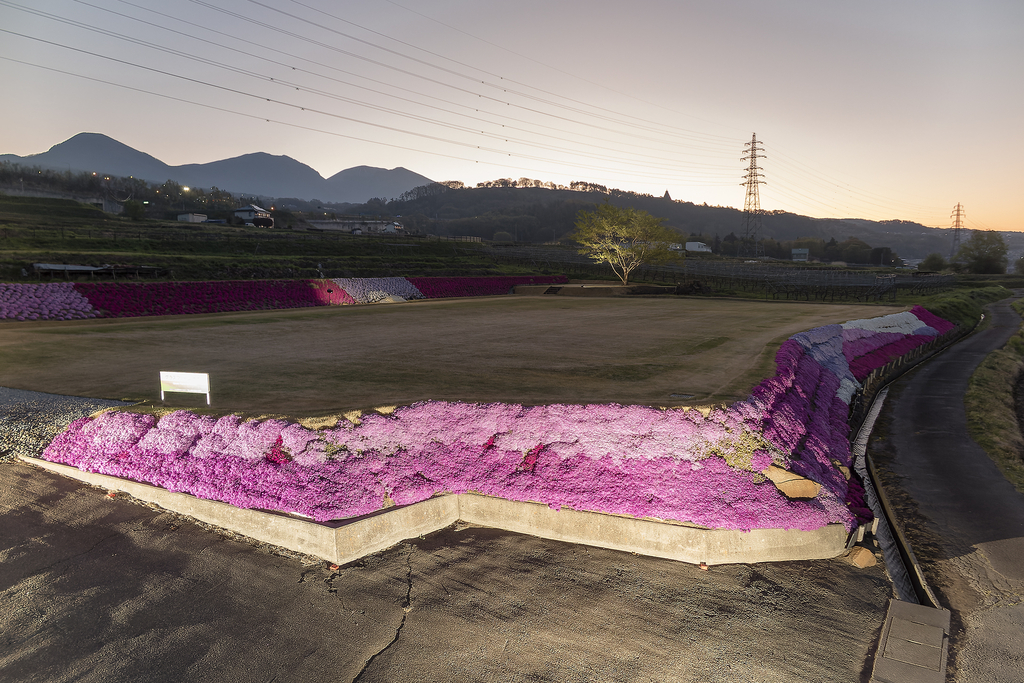 芝桜と浅間連山(2025年4月30日 4:35)