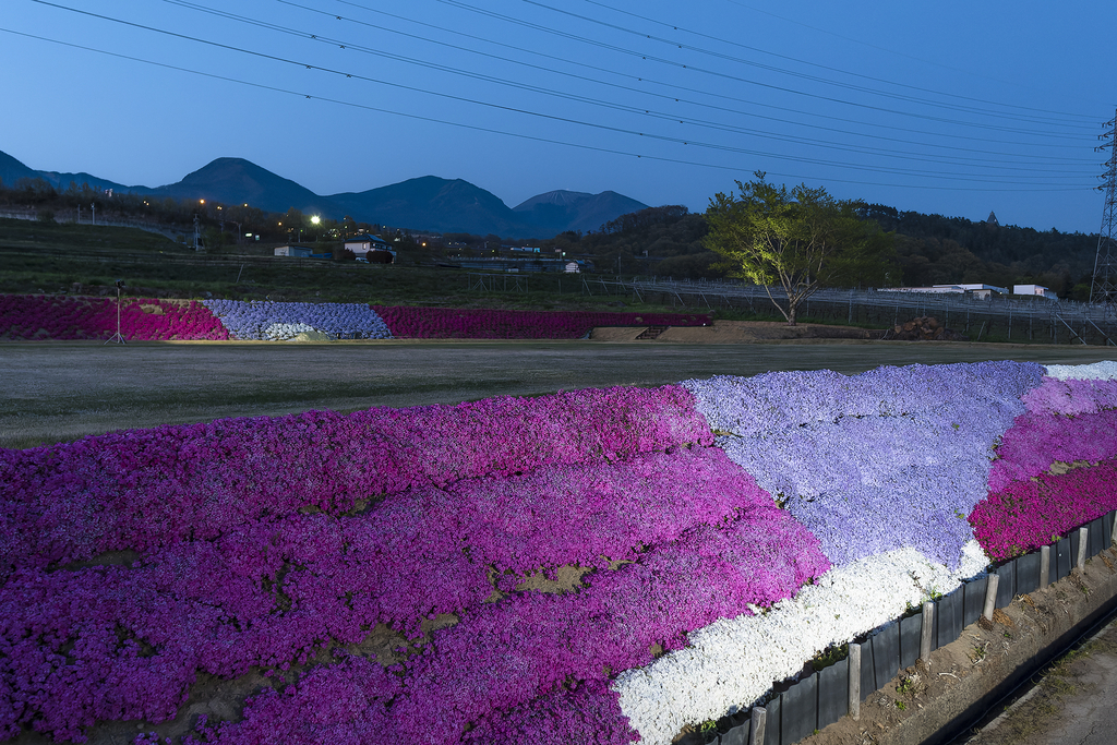 芝桜と浅間連山(2025年4月29日 19:00)