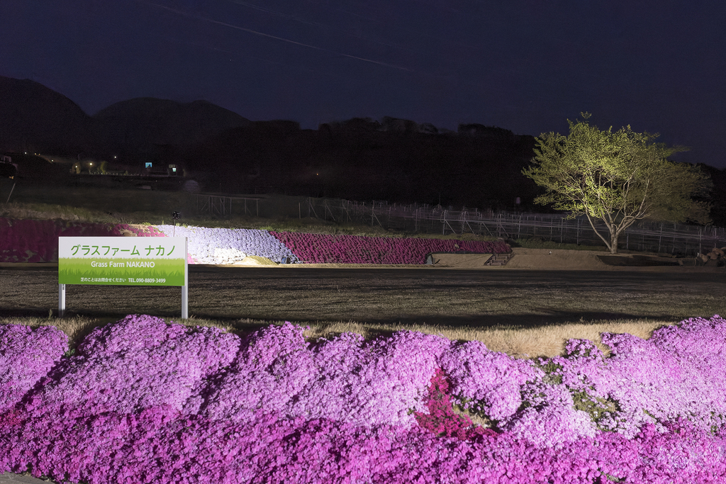 芝桜と浅間連山(2025年4月29日 19:23)